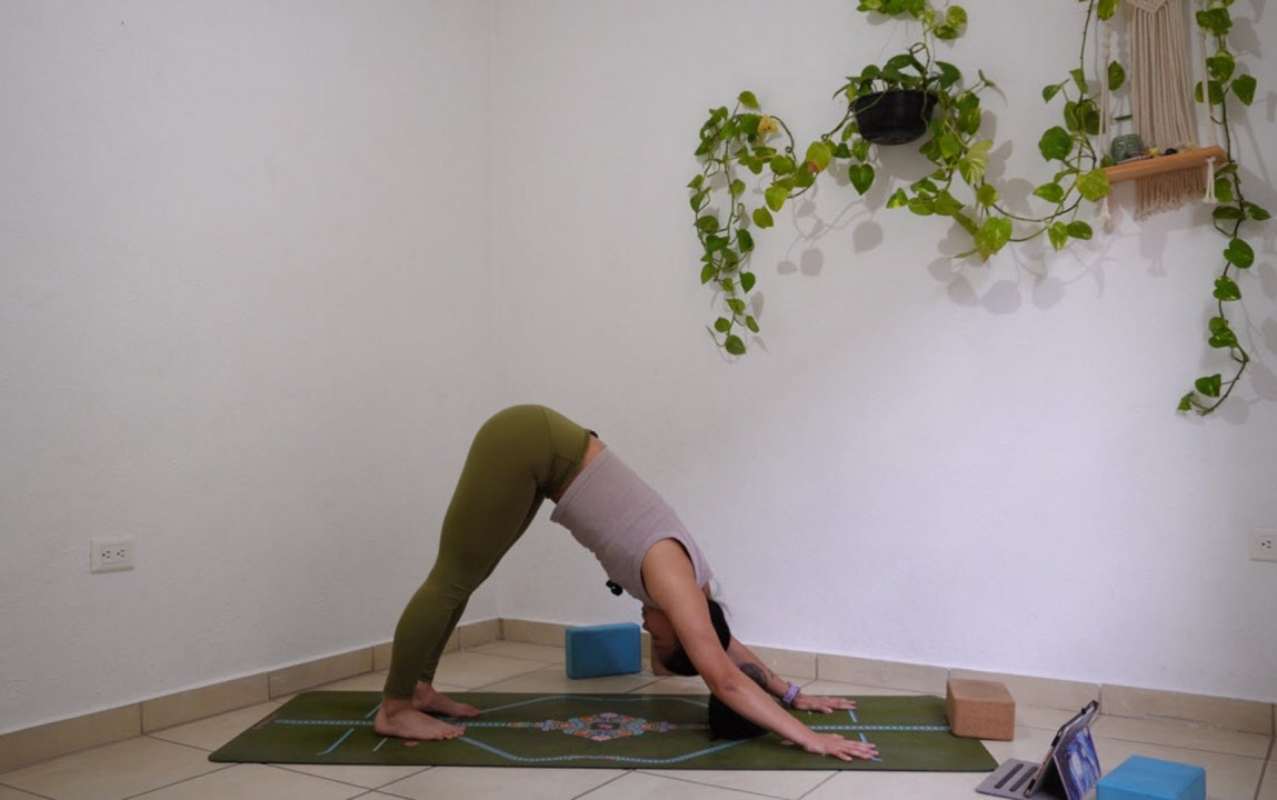 Semana 3: Vinyasa